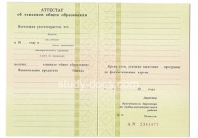 Аттестат за 9 класс 1995-2006 в Ногинске